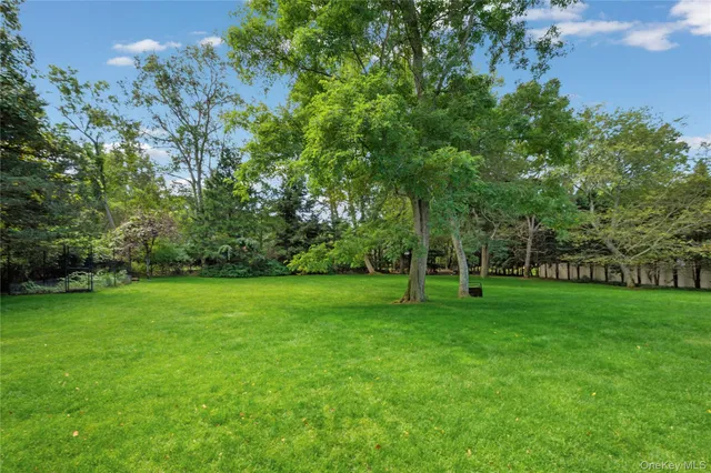 a view of a park with a tree in the background