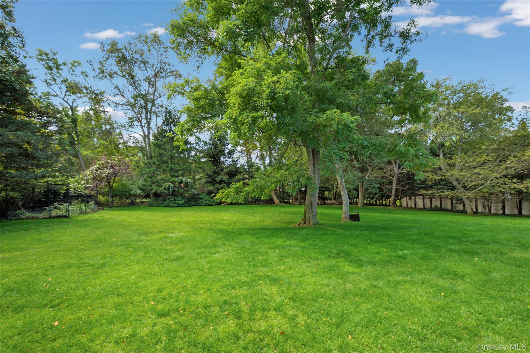 12 Fish Cove Road Southampton, NY 11968 - Photo 6 of 25 a view of a park with a tree in the background