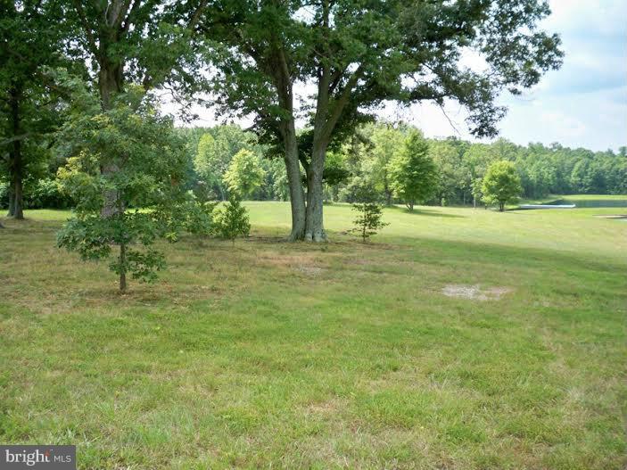 2 Eleys Ford Road Lignum, VA 22726 - Photo 5 of 13 View
