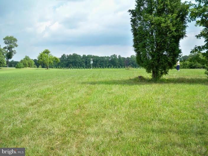2 Eleys Ford Road Lignum, VA 22726 - Photo 9 of 13 View