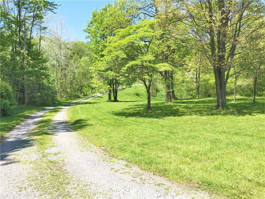 815 Rose Road New Castle, PA 16101 - Photo 4 of 24