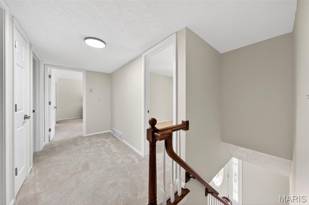 15203 Country Ridge Drive Chesterfield, MO 63017 - Photo 33 of 40