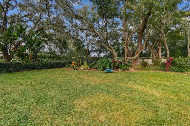 a backyard of a house with lots of green space