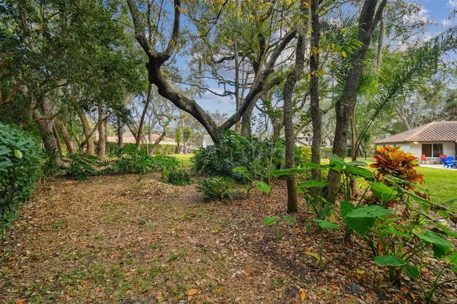 a backyard of a house with lots of green space