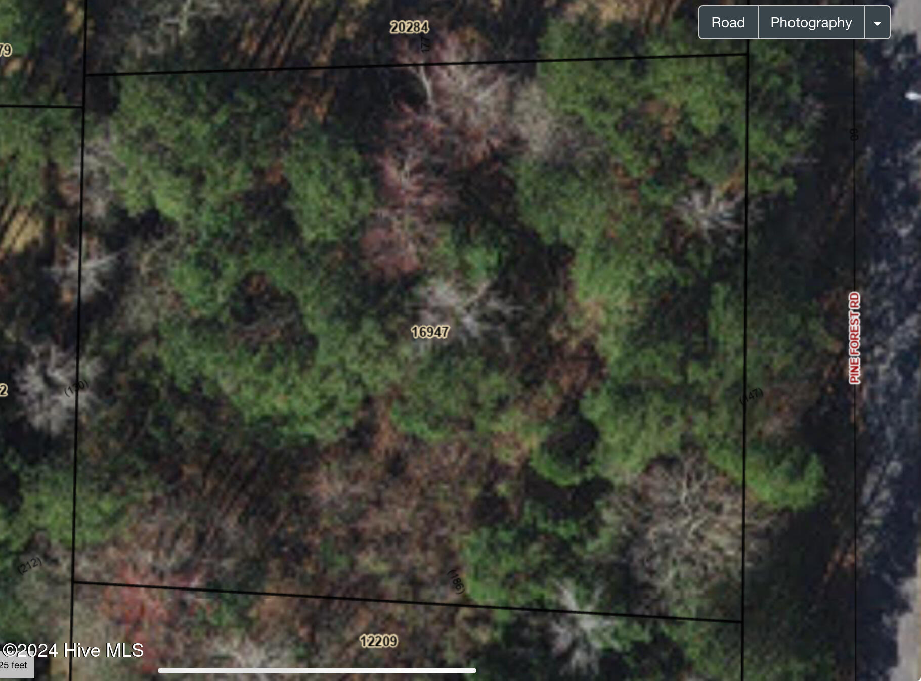 0 Pine Forest Road Ayden, NC 28513 - Photo 4 of 4 IMG_3897