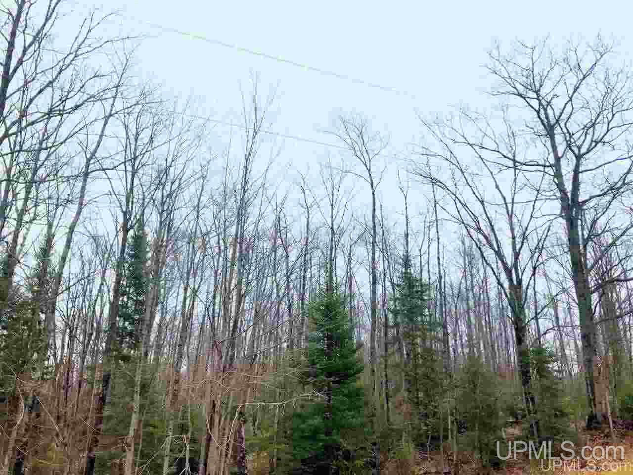 Tbd Tbd Corner Road Negaunee, MI 49866 - Photo 4 of 8