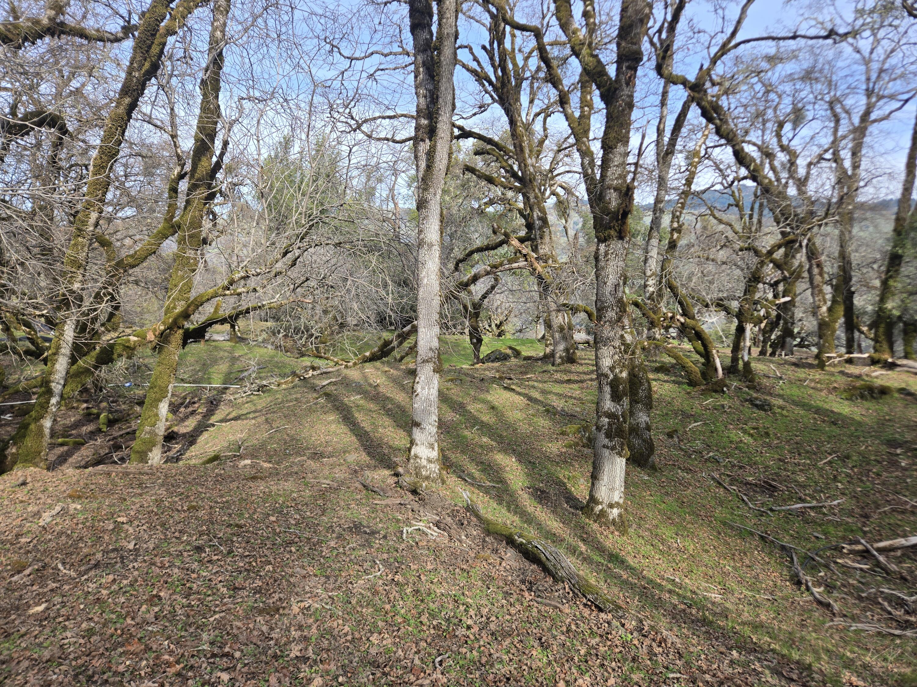 3461 Raff Crk Road Garberville, CA 95542 - Photo 21 of 32