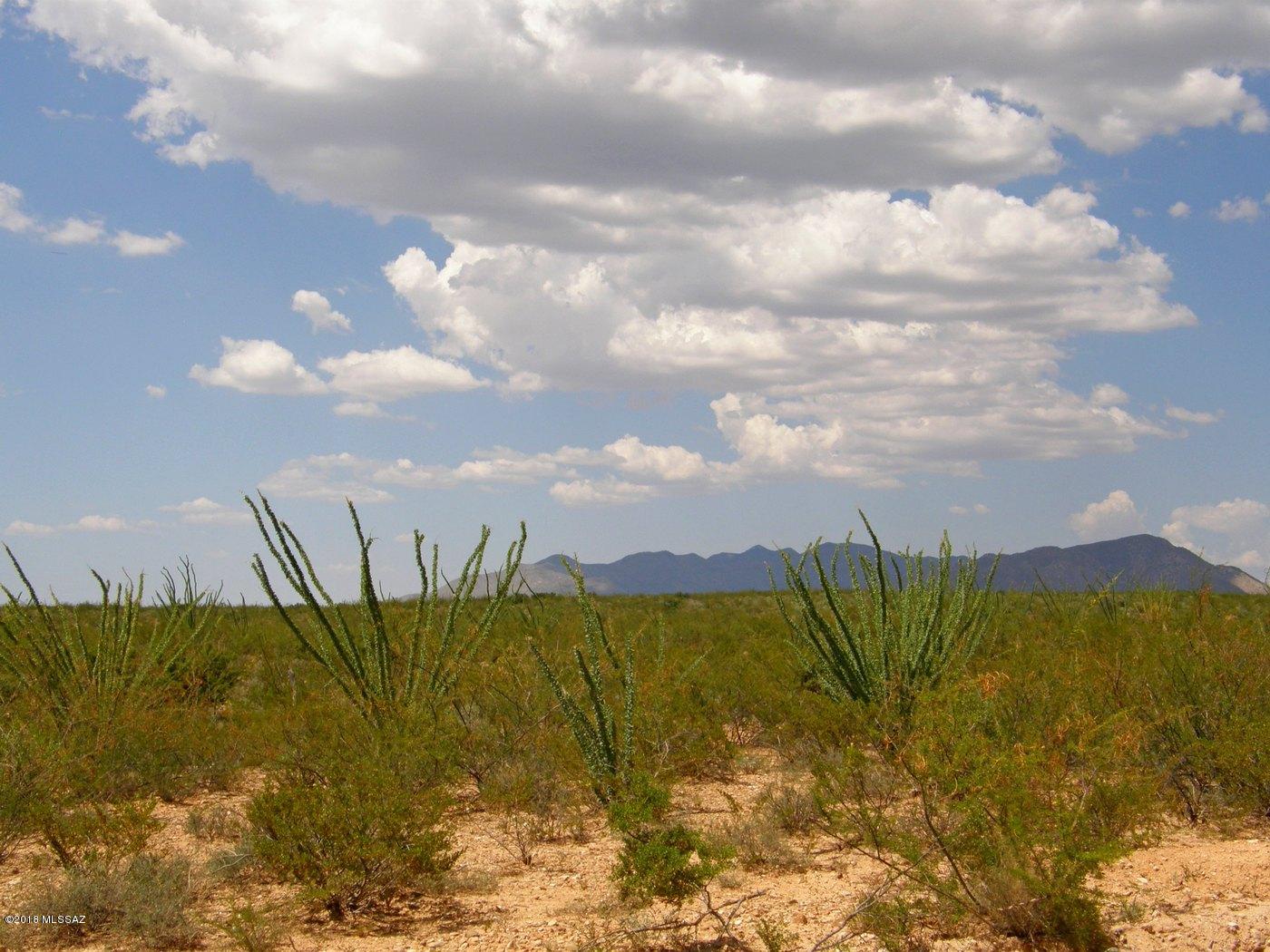 Lot 218 East Dragoon Ranch Road, Unit 218 St. David, AZ 85630 - Photo 11 of 16