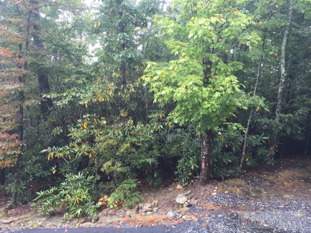Aurora Boone, NC 28607 - Photo 2 of 6