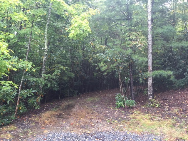 Aurora Boone, NC 28607 - Photo 3 of 6