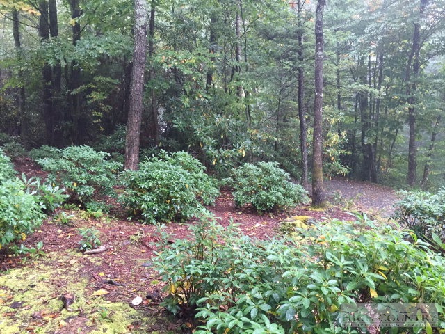 Aurora Boone, NC 28607 - Photo 5 of 6