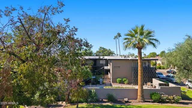 an outdoor space with plants