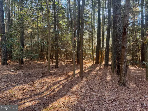 $15,000 | Lot 831 Castaway Drive, Greenbackville, VA 23356