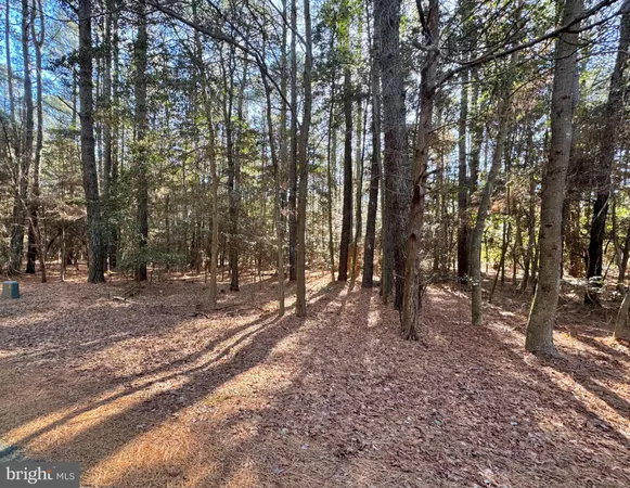 $15,000 | Lot 831 Castaway Drive, Greenbackville, VA 23356