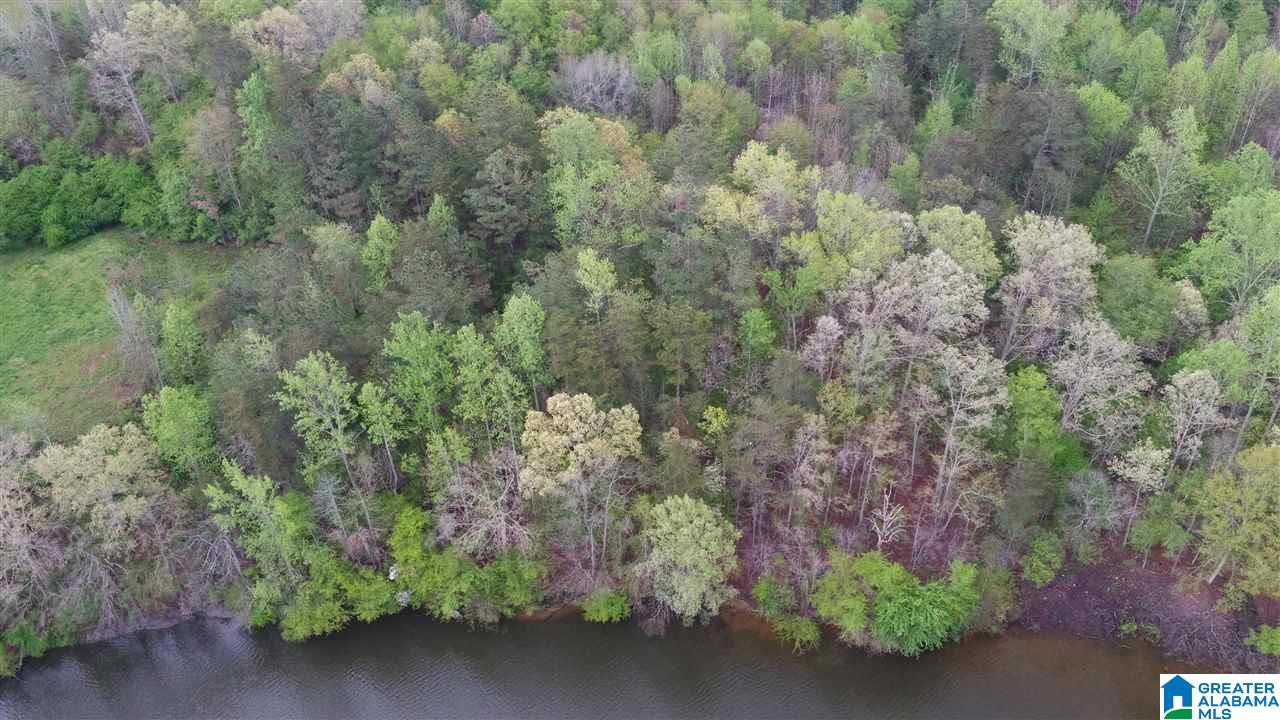 0 Dime Road, Unit 1 20 Haleyville, AL 35565 - Photo 10 of 14