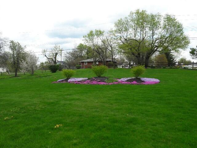 186 Rockwell Road Columbus, OH 43207 - Photo 18 of 74 yard 10