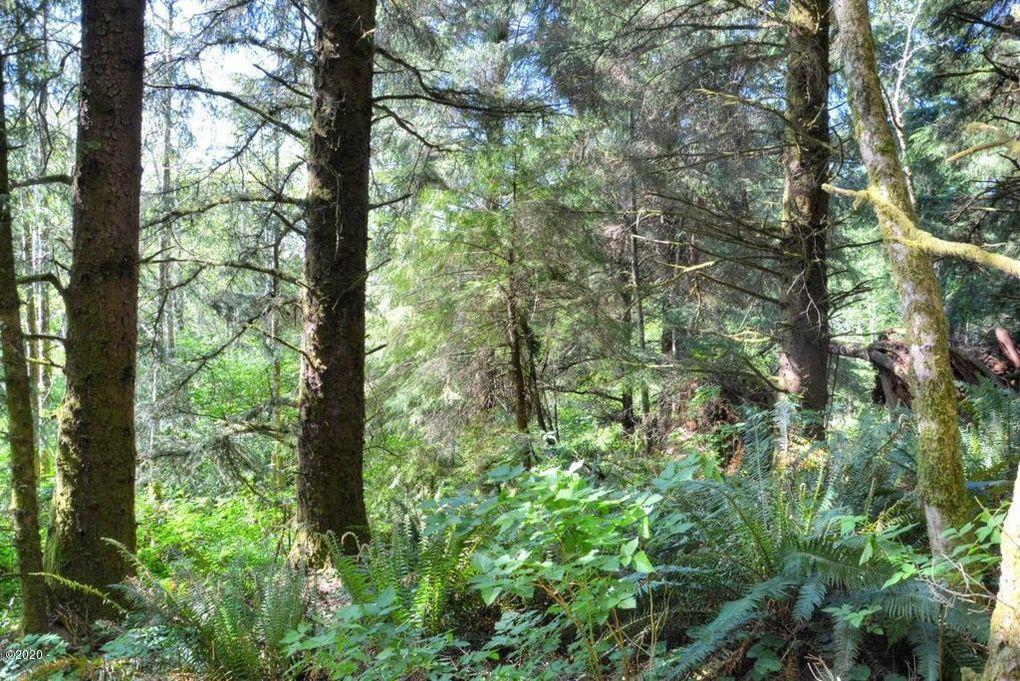 1201 Northeast East Line Road Yachats, OR 97498 - Photo 5 of 10 land2