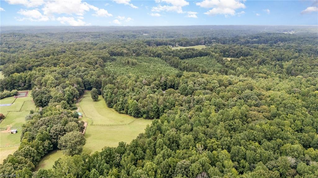 8340 Holler Farm Road Clemmons, NC 27012 - Photo 47 of 50