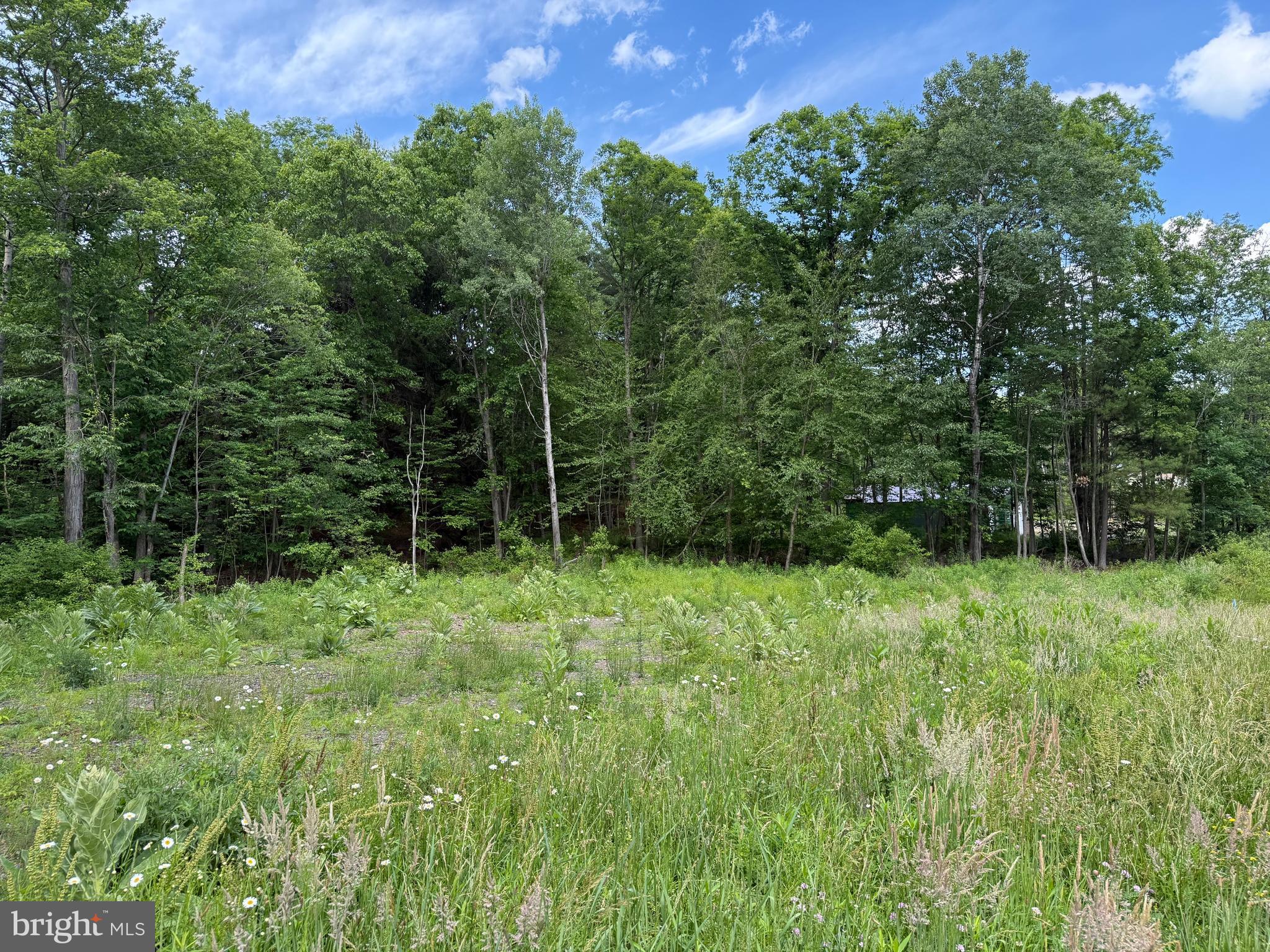 0 Frog Hollow Road Philipsburg, PA 16866 - Photo 5 of 8