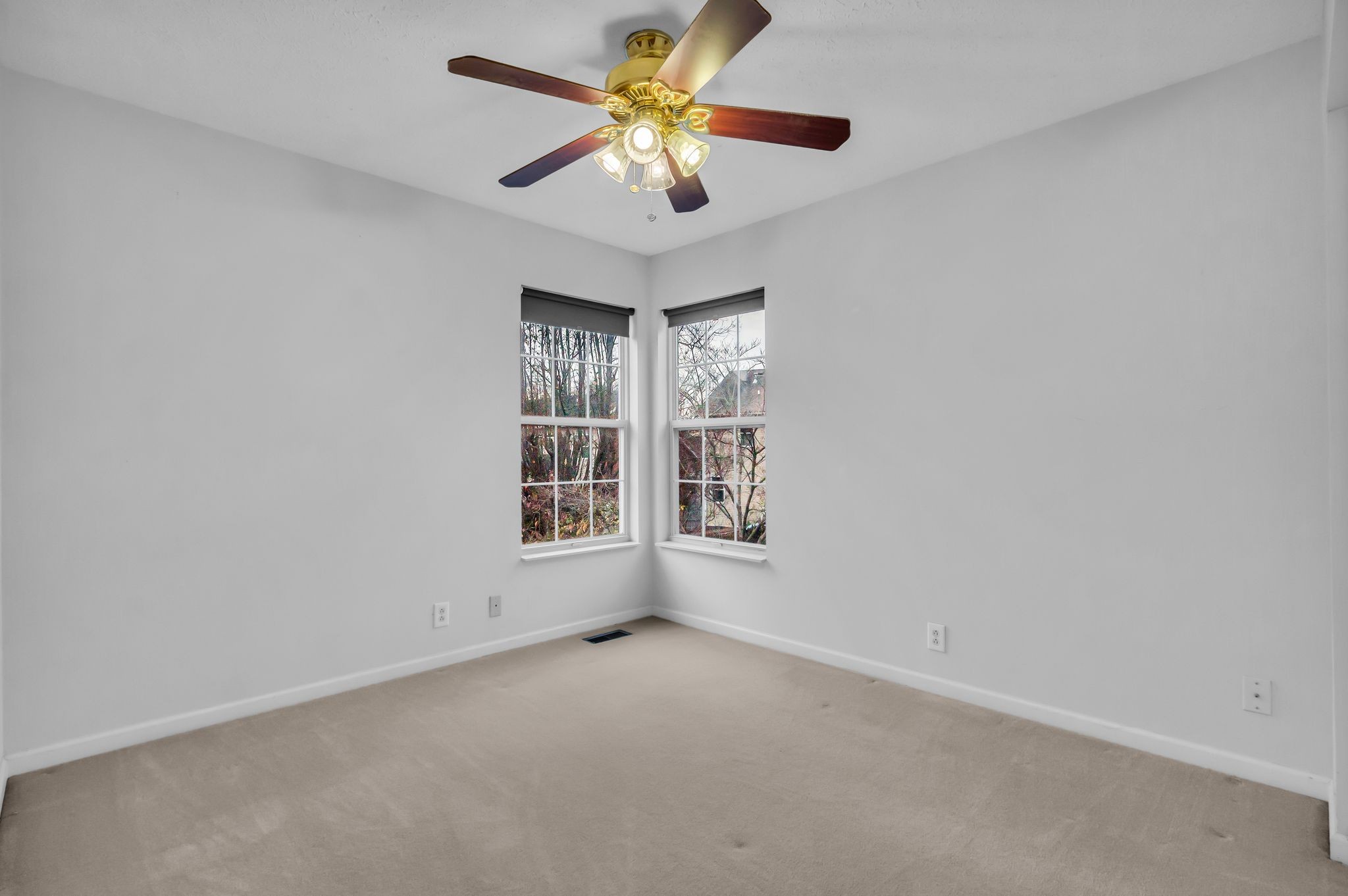 505 Hollyhock Way Franklin, TN 37064 - Photo 22 of 28 an empty room with a window and a fan
