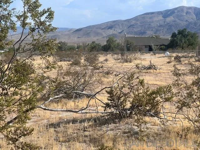 3251 Frying Pan Road Borrego Springs, CA 92004 - Photo 4 of 11 Gallery Image 4