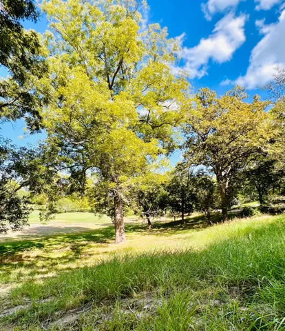 a view of yard with large trees