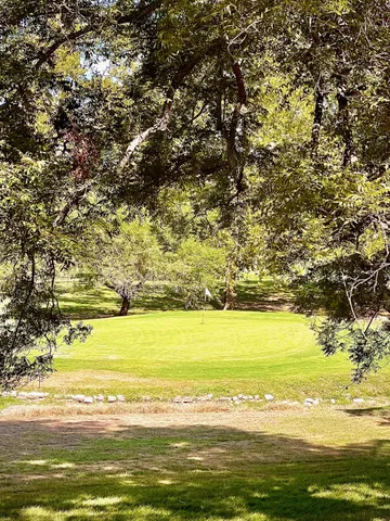 a view of yard with large trees