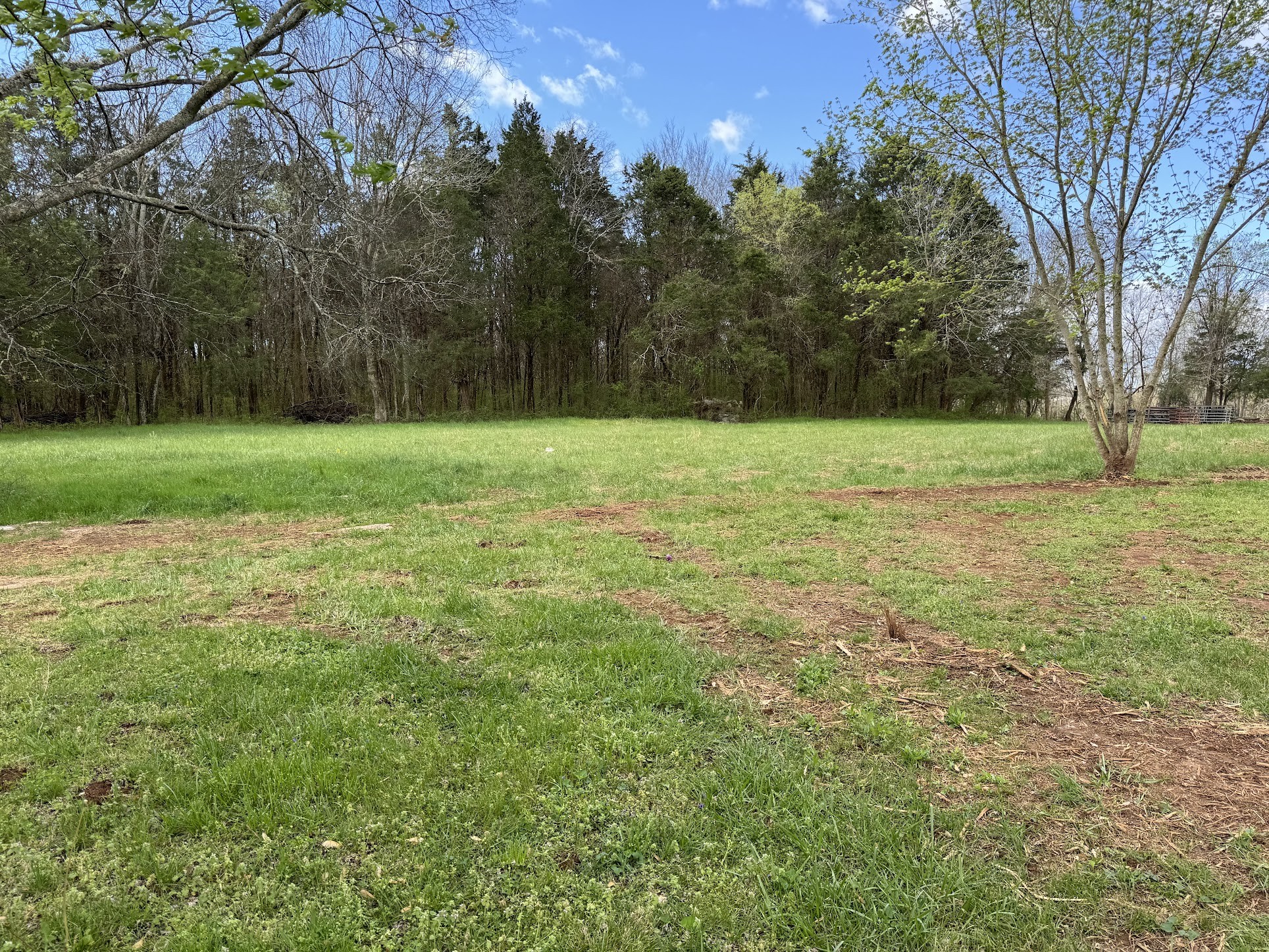 266 Rutledge Ln. Lebanon, TN 37087 - Photo 4 of 9 Gallery Image 4