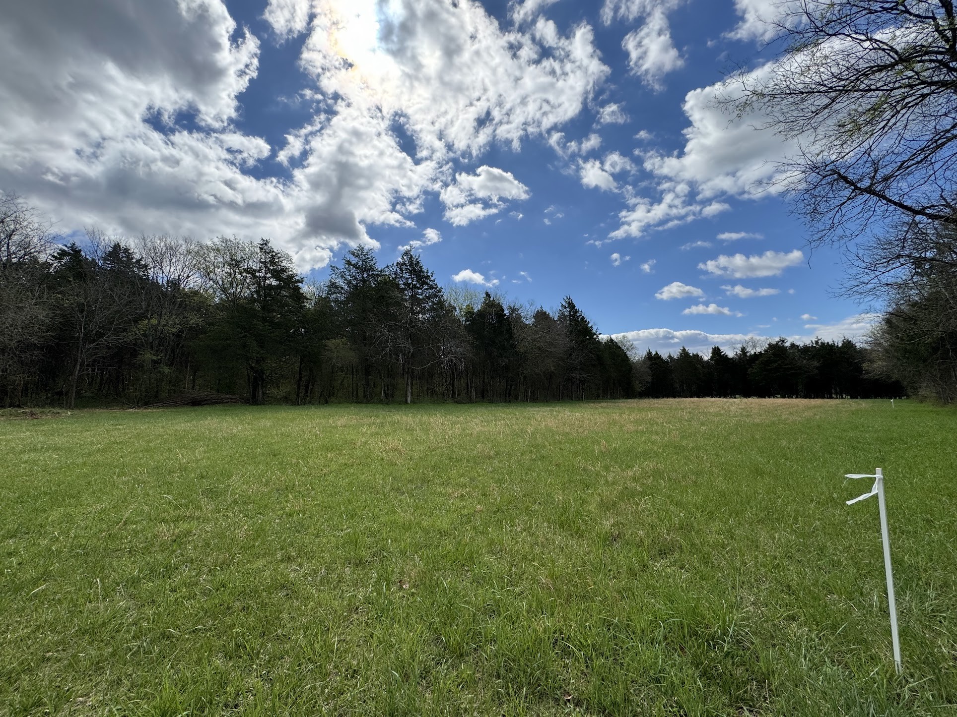 266 Rutledge Ln. Lebanon, TN 37087 - Photo 8 of 9 Gallery Image 8
