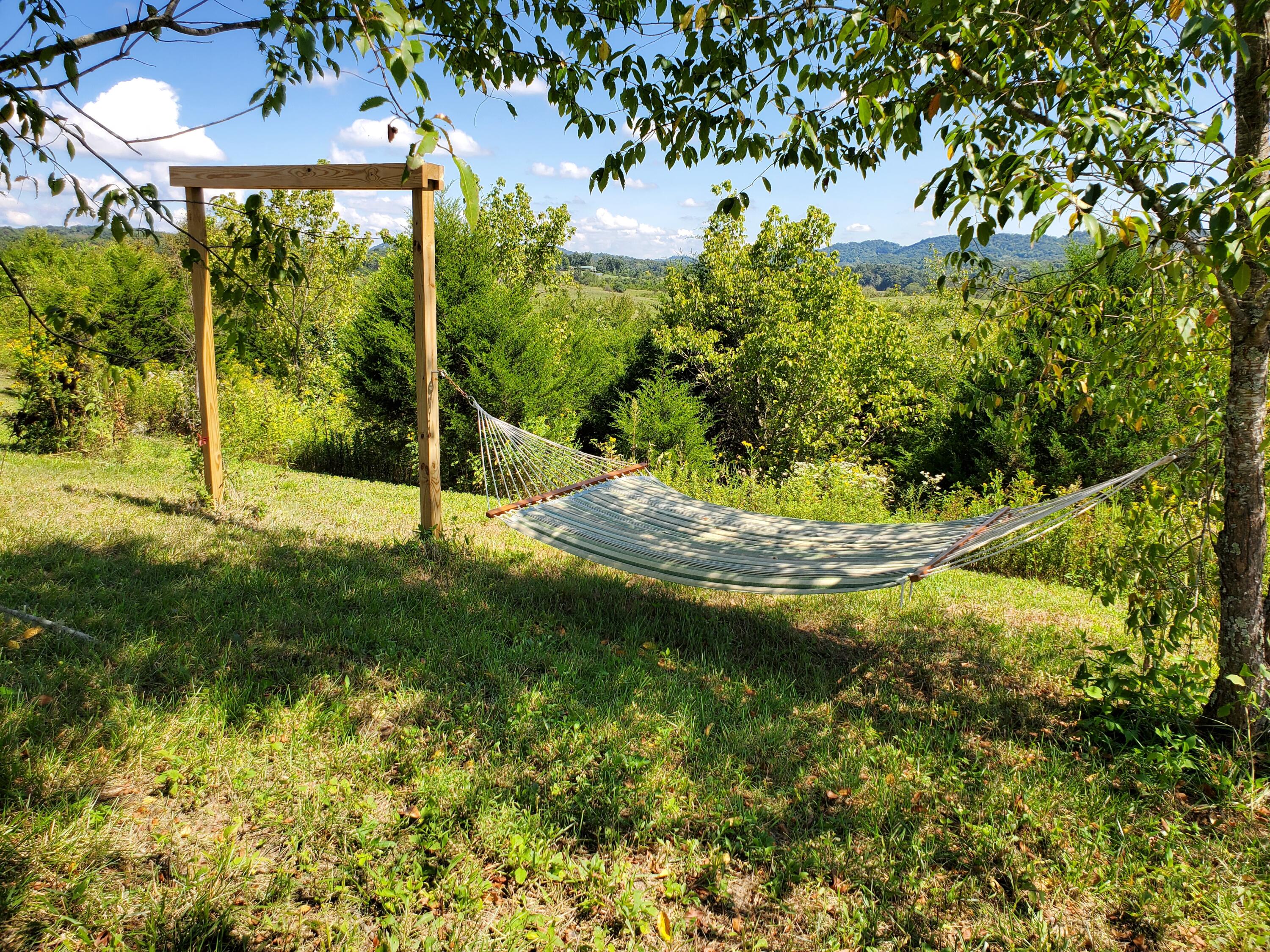 11.03-ac Baileyton Road Greeneville, TN 37745 - Photo 5 of 25 20220908_123840