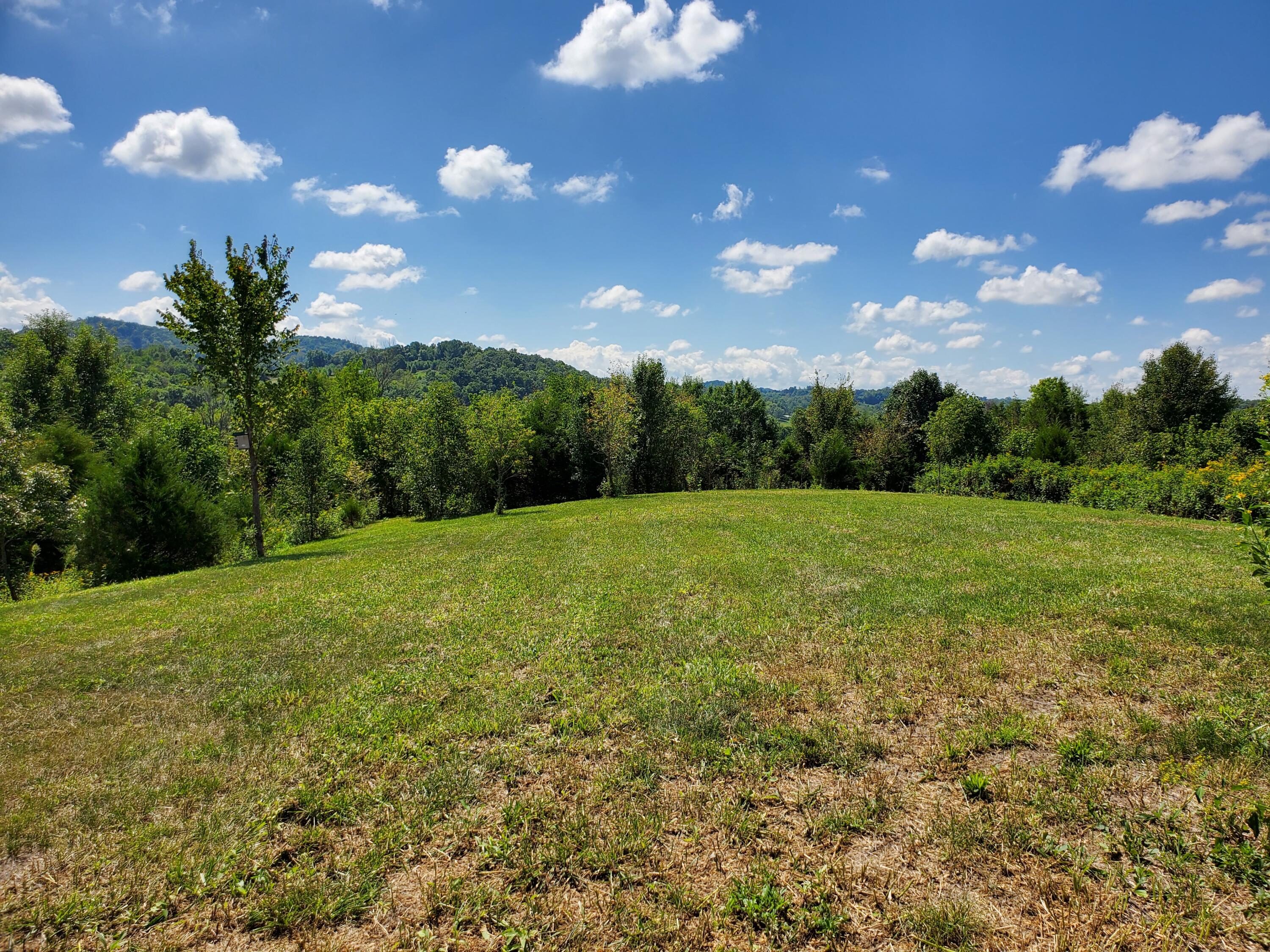 11.03-ac Baileyton Road Greeneville, TN 37745 - Photo 8 of 25 20220908_123925