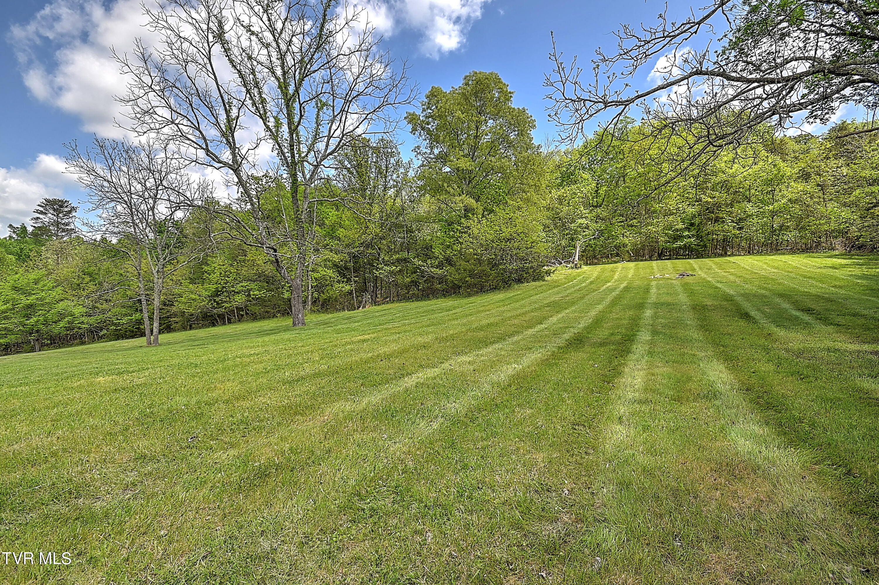 9.9-acres Buttermilk Road Gray, TN 37615 - Photo 11 of 23 TBD Buttermilk Rd-14
