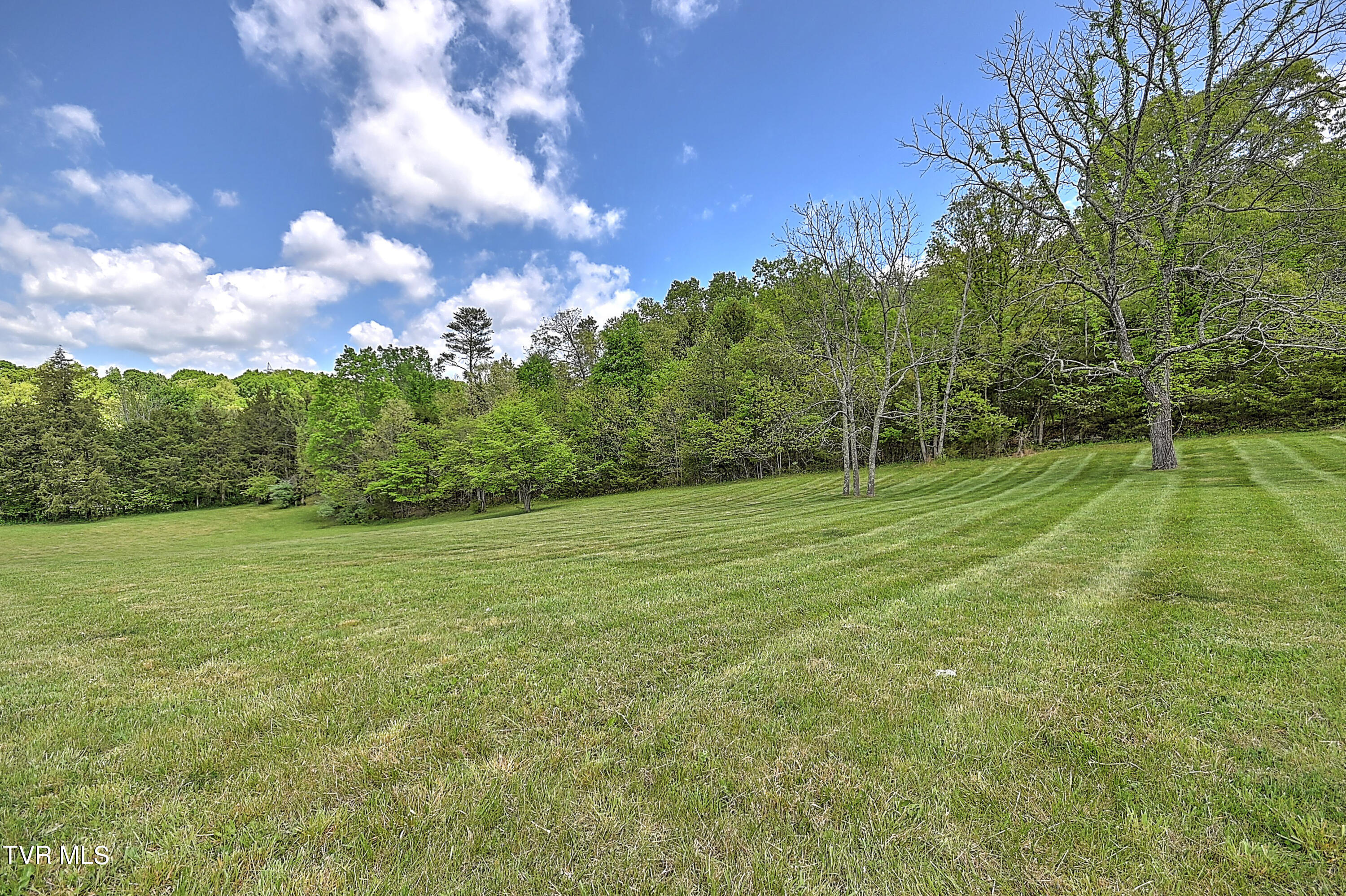 9.9-acres Buttermilk Road Gray, TN 37615 - Photo 15 of 23 TBD Buttermilk Rd-21