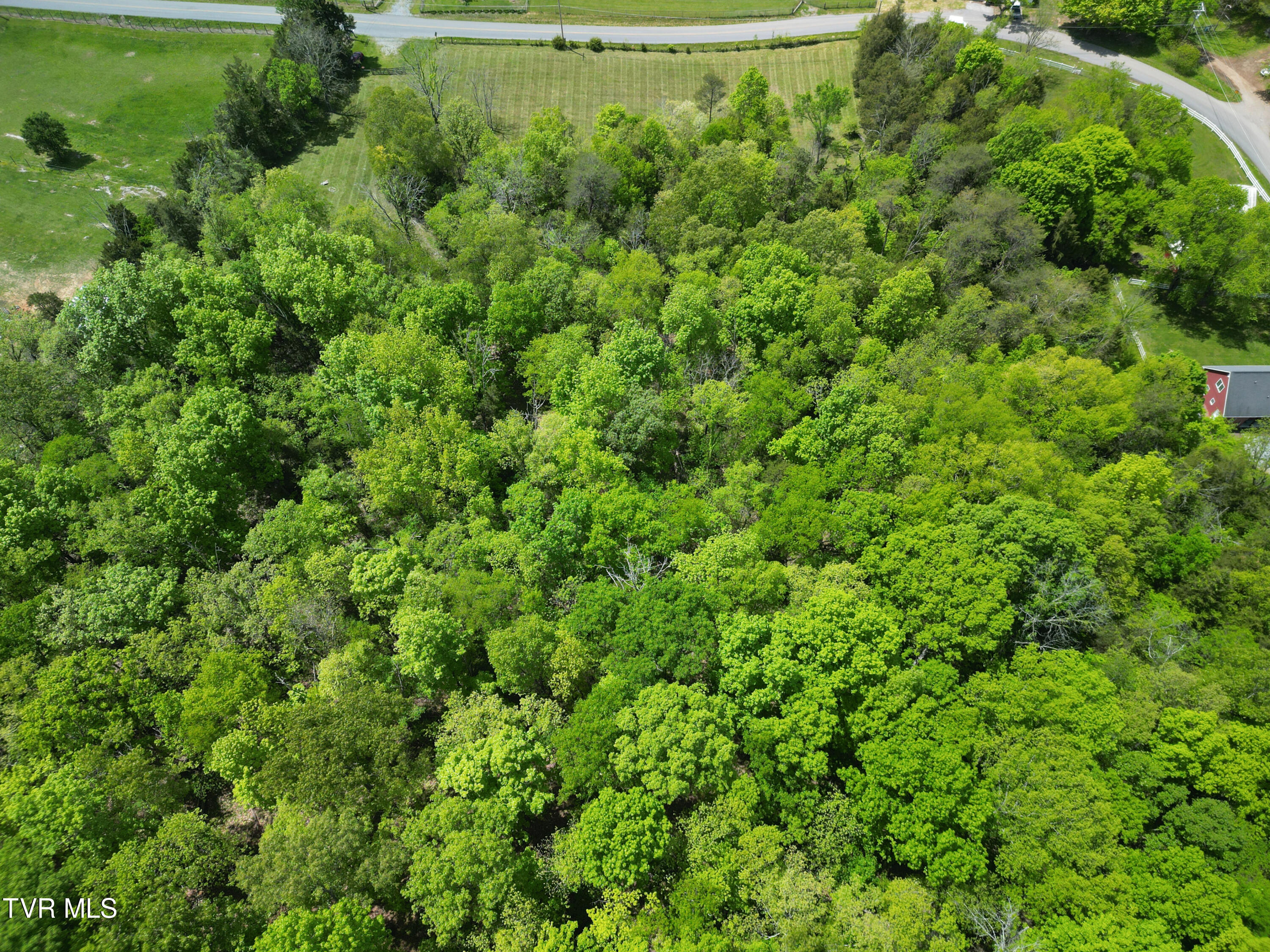 9.9-acres Buttermilk Road Gray, TN 37615 - Photo 20 of 23 TBD Buttermilk Rd-30