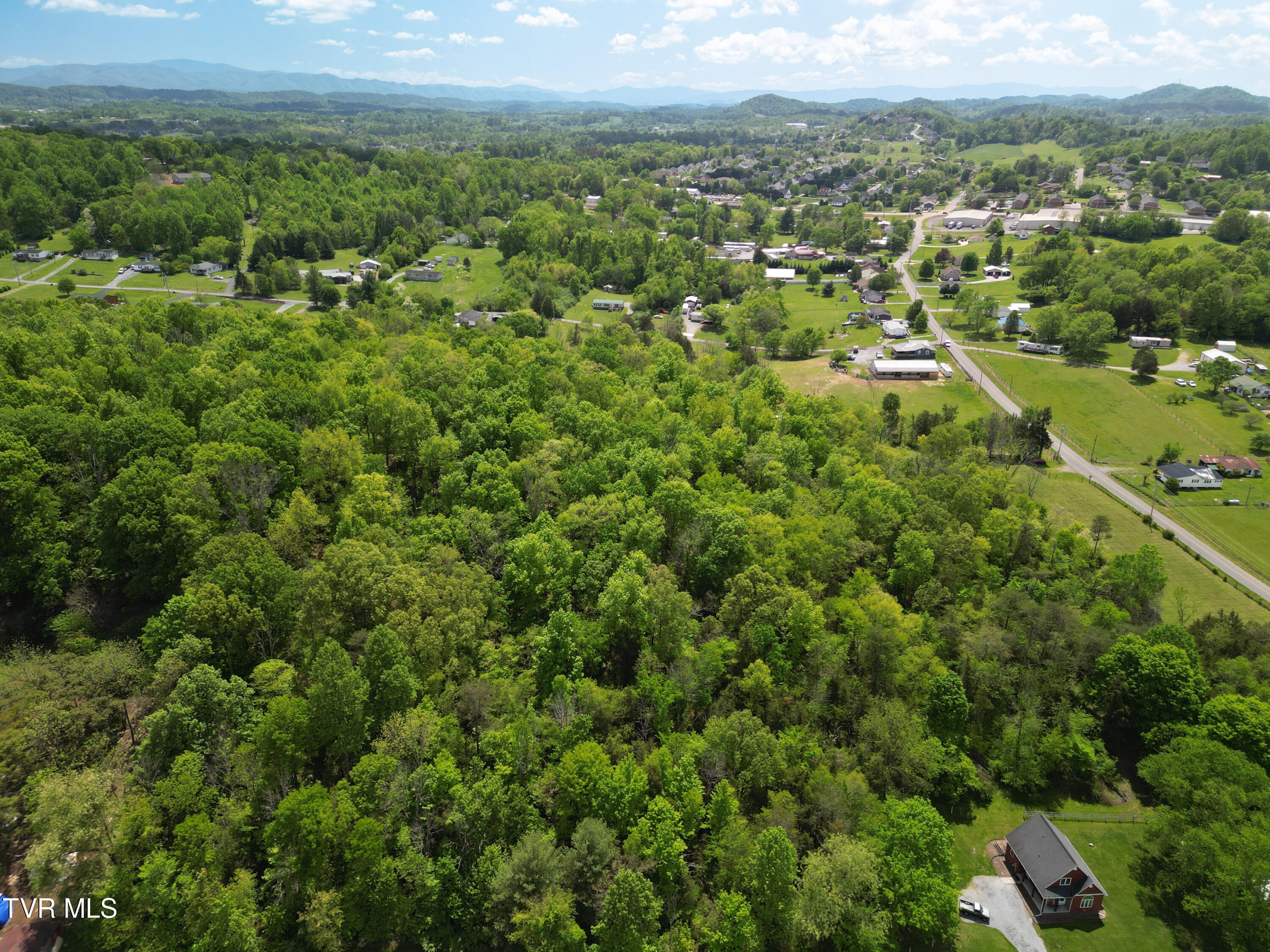 9.9-acres Buttermilk Road Gray, TN 37615 - Photo 22 of 23 TBD Buttermilk Rd-36