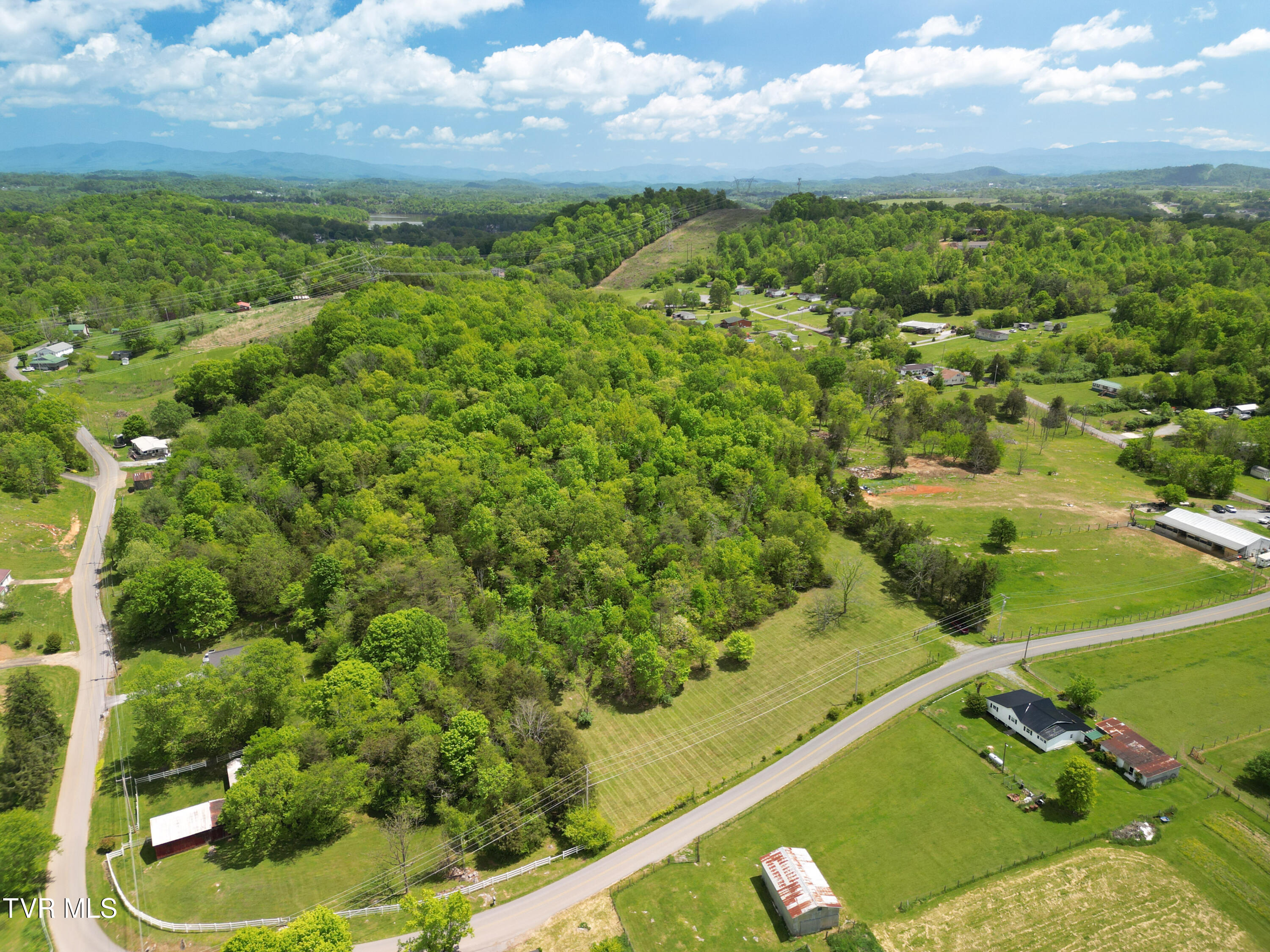 9.9-acres Buttermilk Road Gray, TN 37615 - Photo 23 of 23 TBD Buttermilk Rd-38