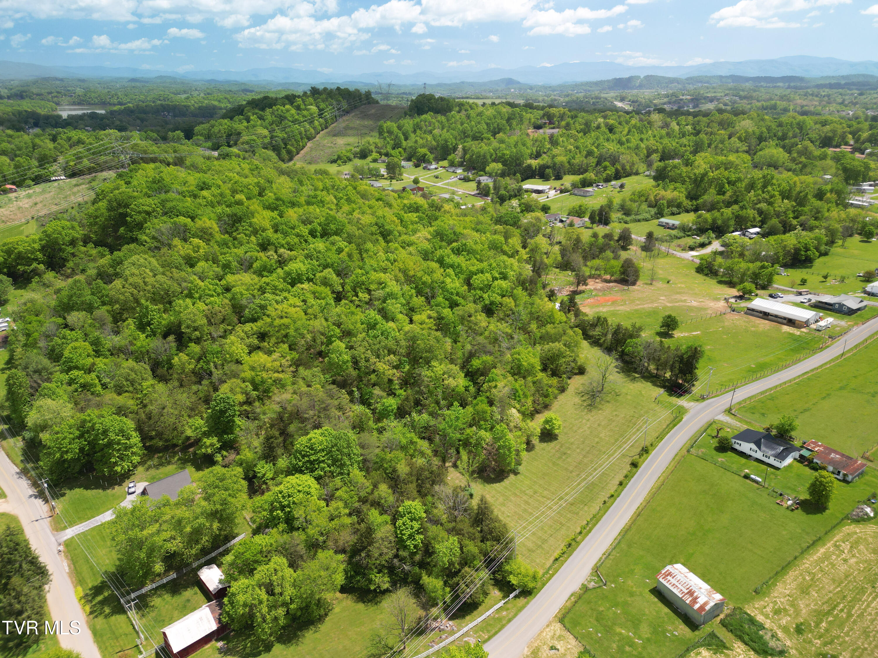 9.9-acres Buttermilk Road Gray, TN 37615 - Photo 3 of 23 TBD Buttermilk Rd-02
