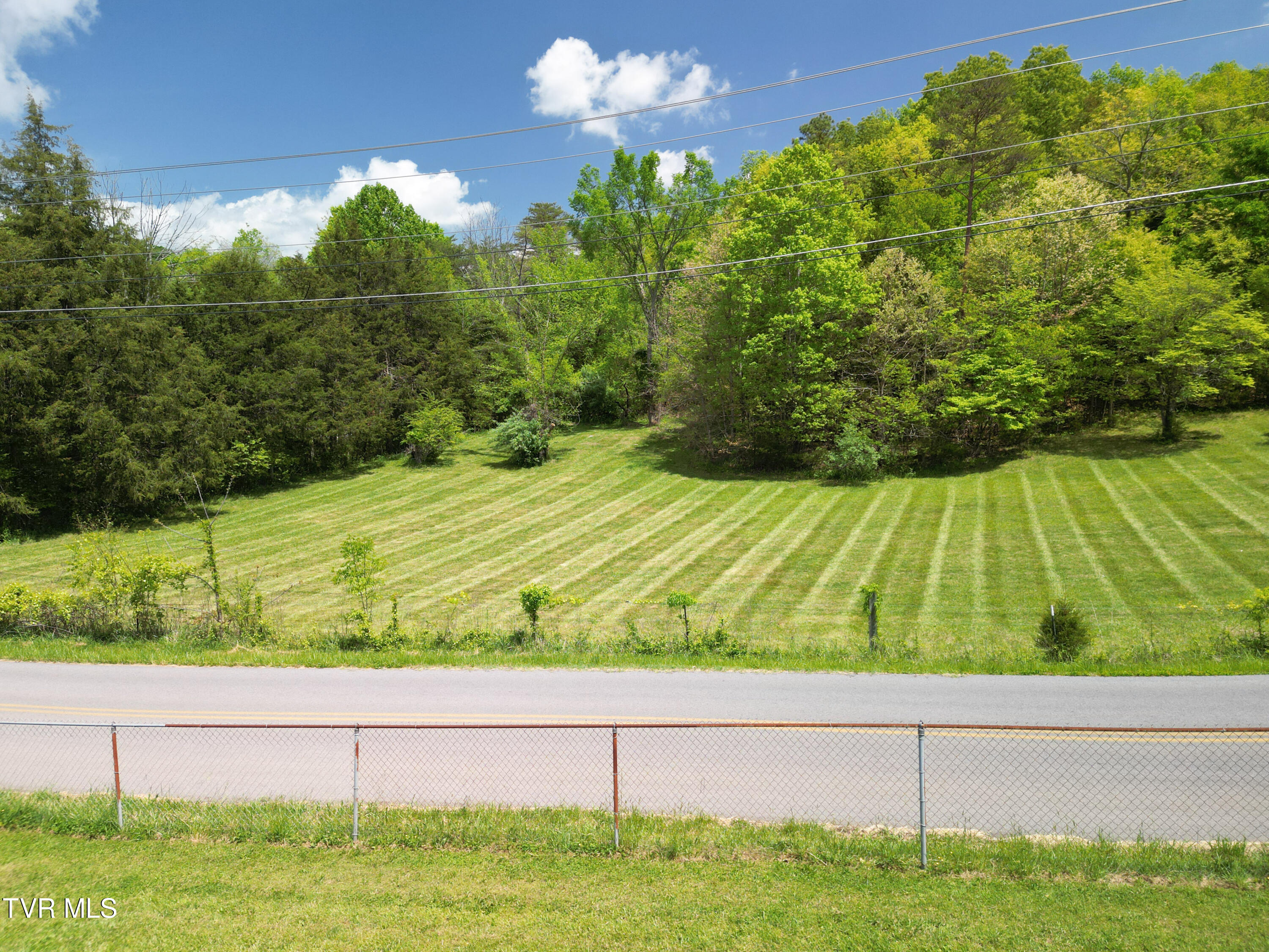 9.9-acres Buttermilk Road Gray, TN 37615 - Photo 6 of 23 TBD Buttermilk Rd-06