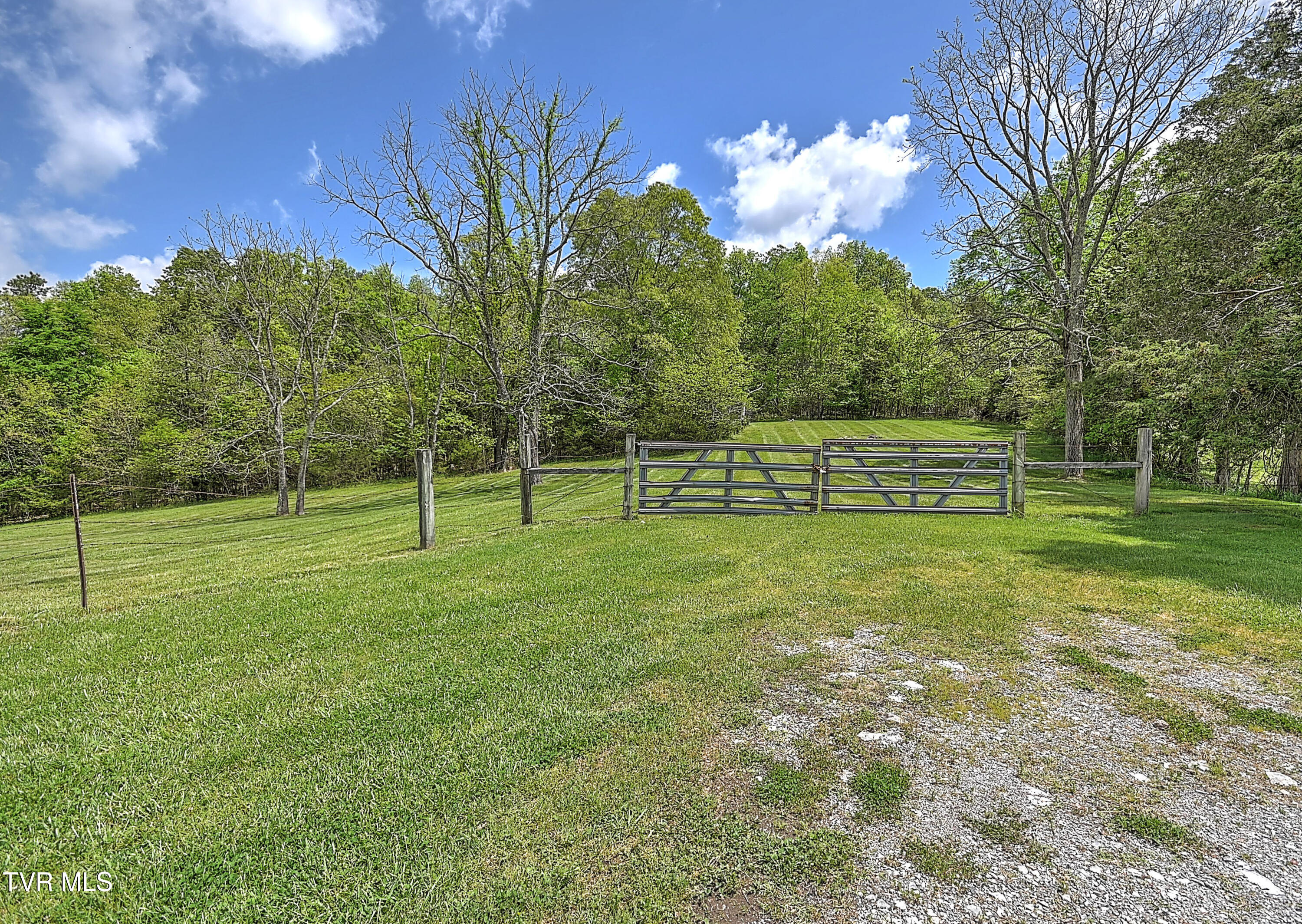 9.9-acres Buttermilk Road Gray, TN 37615 - Photo 10 of 23 TBD Buttermilk Rd-12