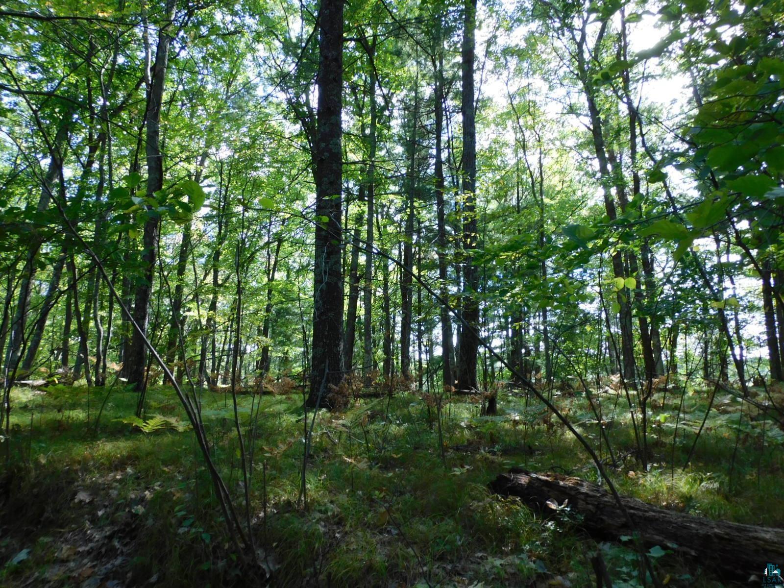 Xxxx Xxxx Whitetail Ridge Road Iron River, WI 54847 - Photo 23 of 40 Gallery Image 23