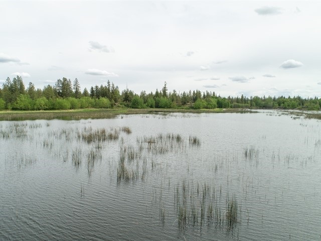 12712 North Wood Road Reardan, WA 99029 - Photo 10 of 13 Gallery Image 10