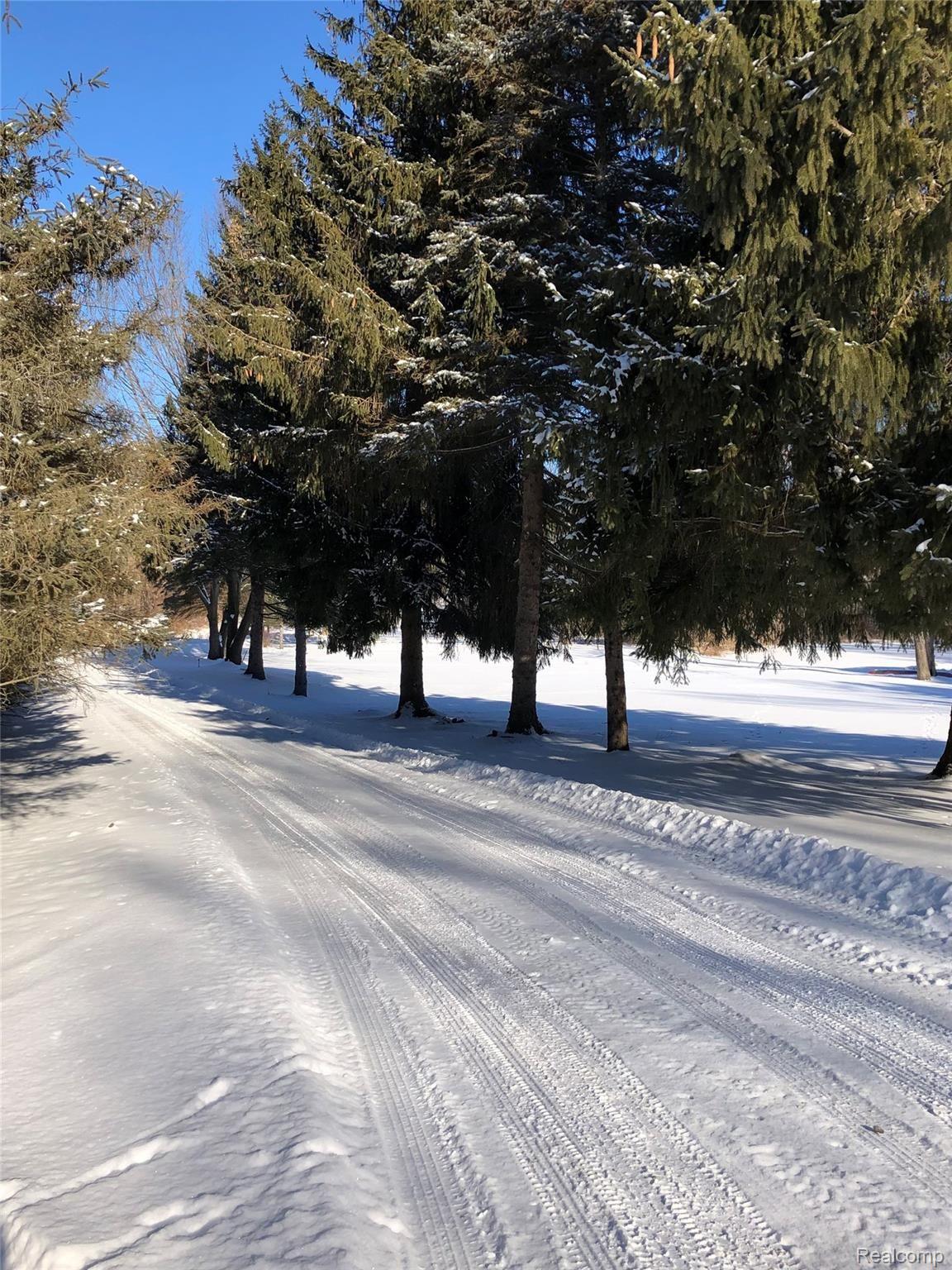 5208 Casey Road Dryden, MI 48428 - Photo 49 of 52 Pine-lined driveway