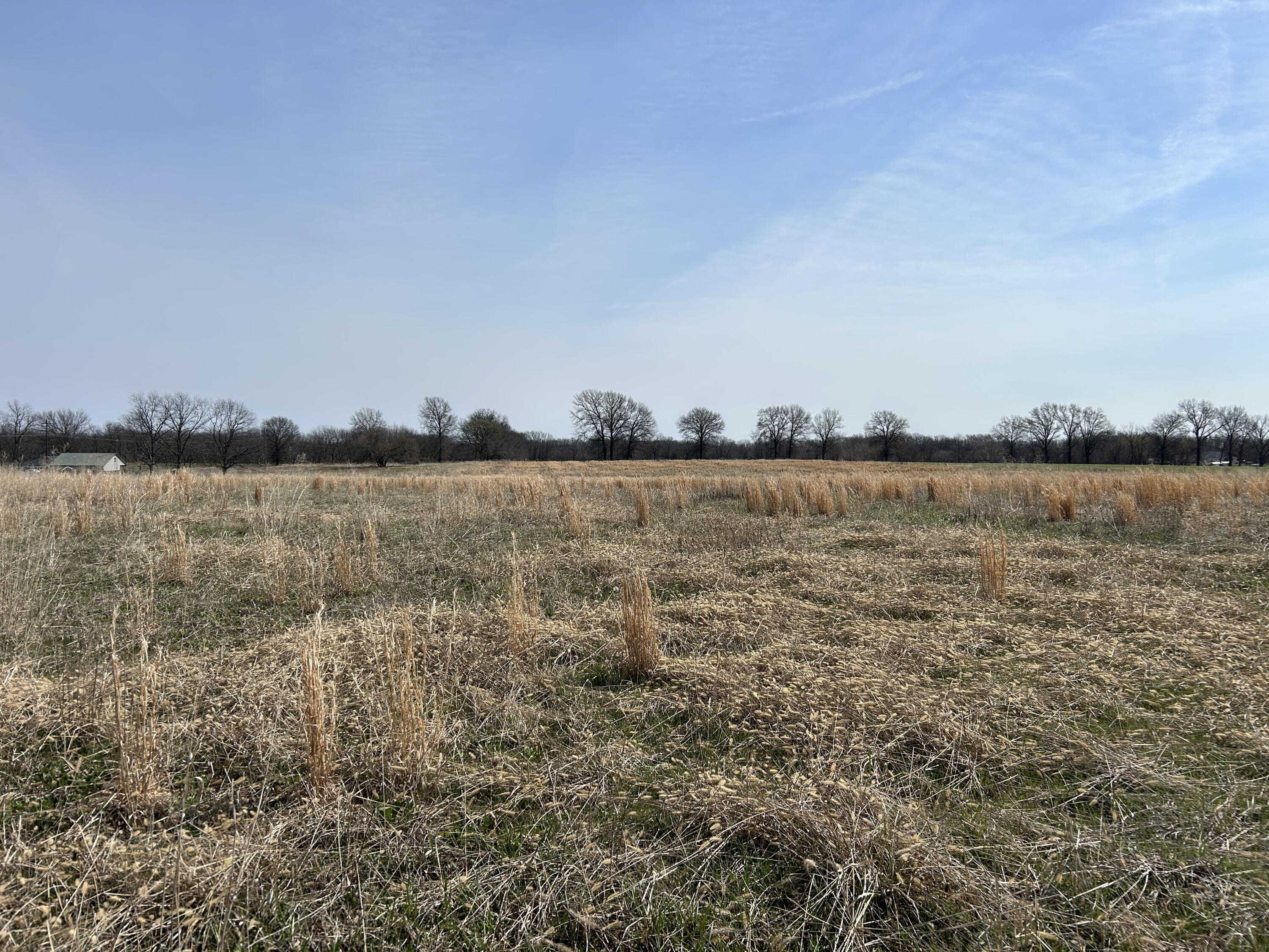 0 South 1575 Road Nevada, MO 64772 - Photo 10 of 10 IMG_1337