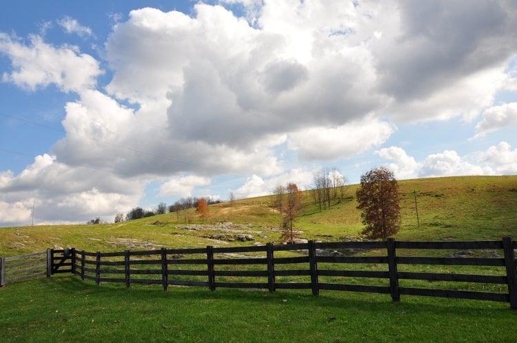 100 Willow Bend Road Lindside, WV 24951 - Photo 14 of 50 Chapel Ridge Farm Tour 14