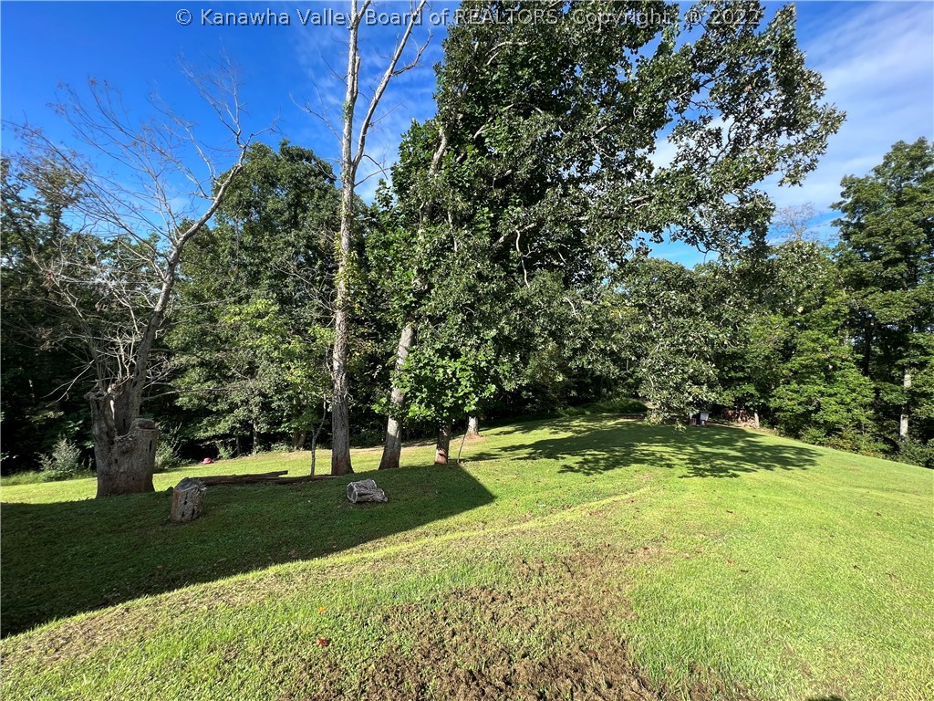 397 Bear Fork Road Yawkey, WV 25573 - Photo 10 of 46 Gallery Image 10