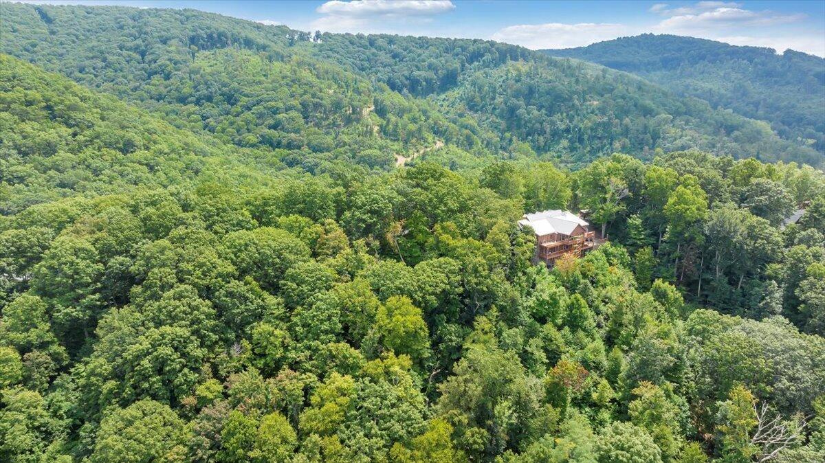 Lot 17 Wildwood Ridge Lindside, WV 24951 - Photo 4 of 38 Lot 17 Wildwood Ridge
