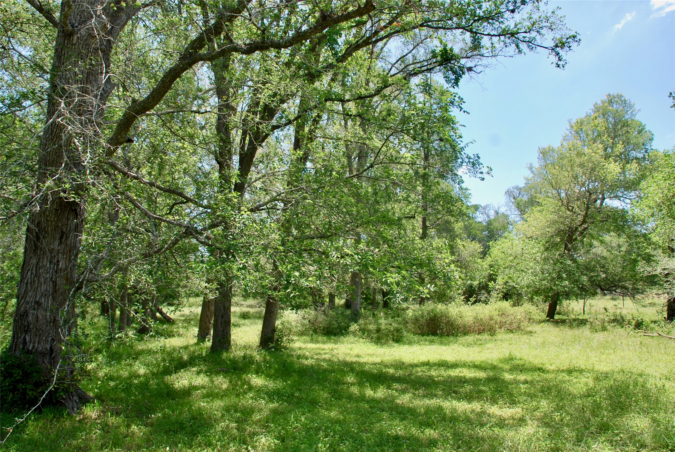 2340 Langdon Road Weimar, TX 78962 - Photo 17 of 26