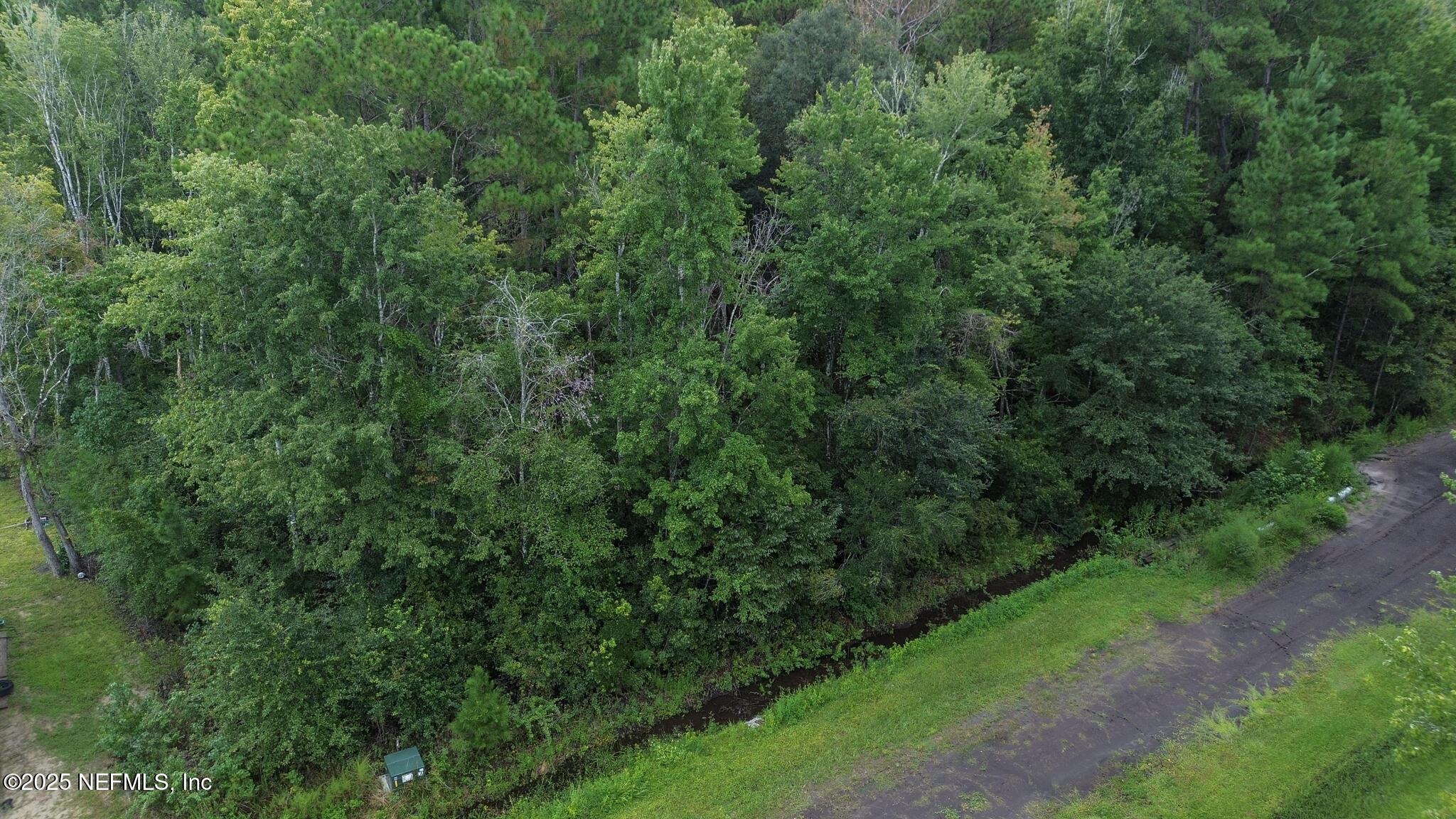 0 Magnolia Lane Callahan, FL 32011 - Photo 4 of 5 a view of a lush green forest