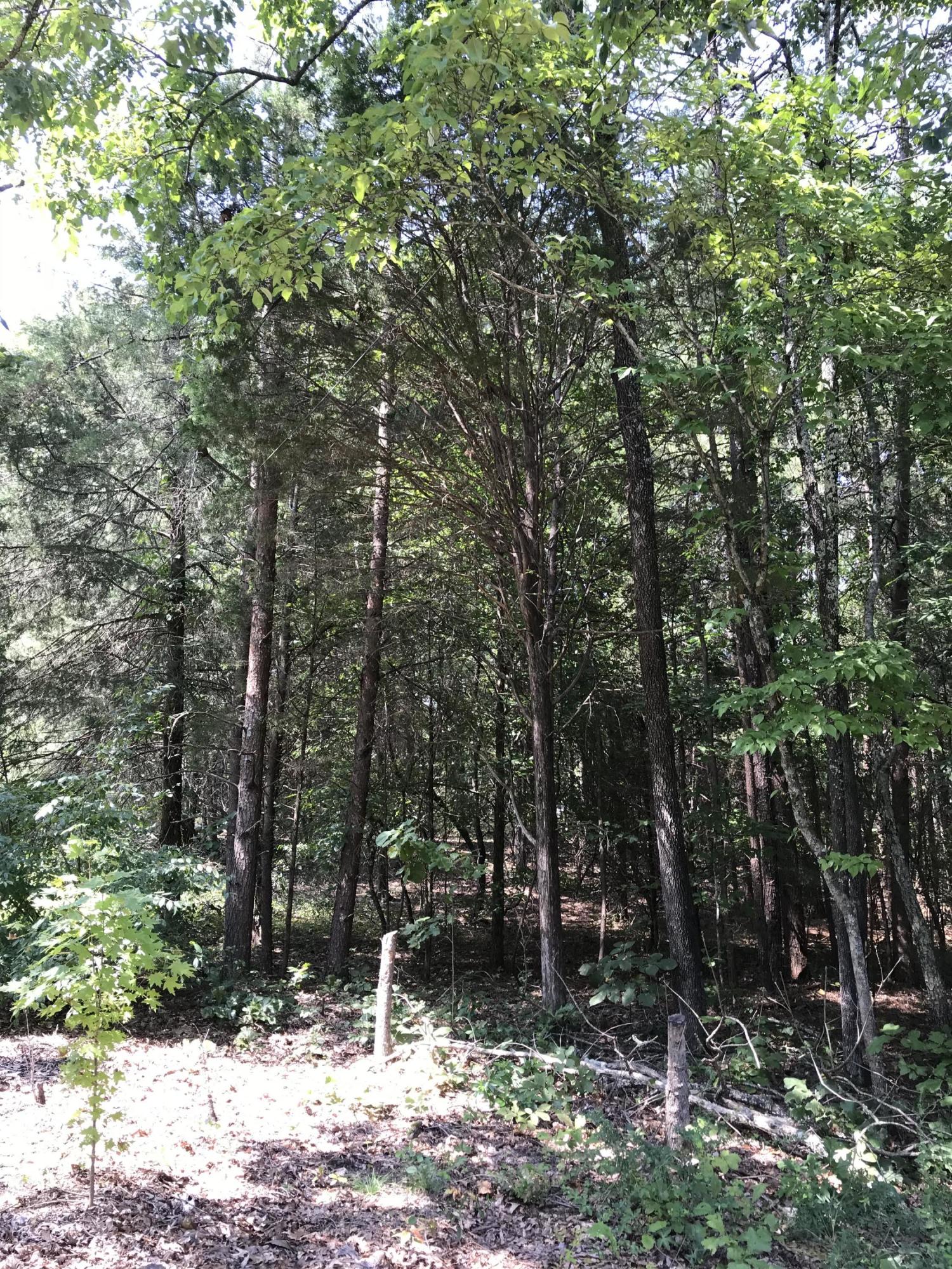 198 Potter Place Road Northwest Charleston, TN 37310 - Photo 32 of 63 DD63F7CD-55E0-4132-8D42-72A8B955EF5A