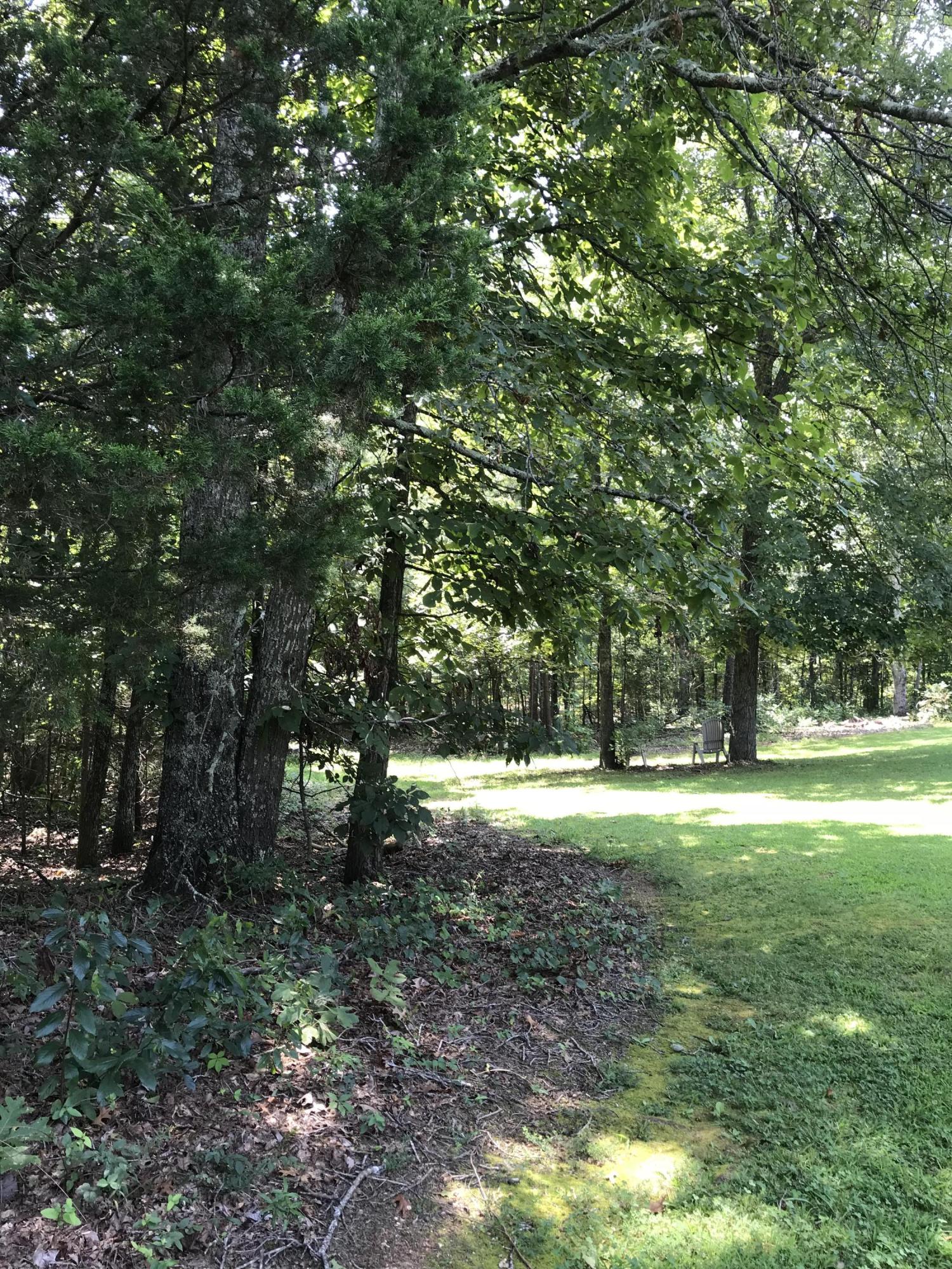198 Potter Place Road Northwest Charleston, TN 37310 - Photo 37 of 63 998FF093-B5DB-40AD-B281-BDDCF8FCDA08
